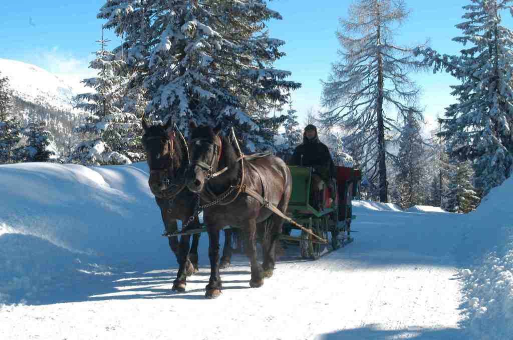 Winterurlaub Am Katschberg Winter Pony Welt Schnee Und Ski Kinderoutdoor Outdoor