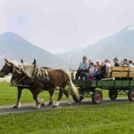 Reiten in den Ferien: Ponytrekking und mehr für Kinder