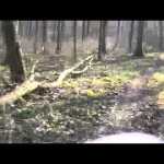 Kinderwagen Test auf Video: Bob SUS auf dem Extrem – Trail