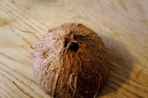 Nun ein  Loch in die Kokosnuss bohren.  Foto (c) Kinderoutdoor.de