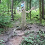 Schnitzeljagd Aufgaben im Wald: Nicht schlecht Herr Specht!