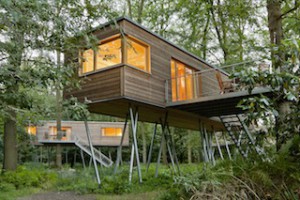 Was für ein Design! So stylisch kann ein gelungenes Baumhaus aussehen, wie hier bei Baumgeflüster in Bad Zwischenahn.  Foto (c) Baumgeflüster