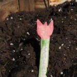 Schnitzen für Anfänger: Ein Blumenbeet-Schild