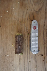 Wir schnitzen mit dem Taschenmesser ein Ende vom Holz rund.  Foto (c) kinderoutdoor.de