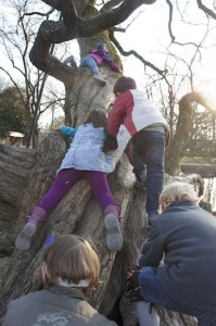 Auch das Klettern auf einen Zauberbaum gehört zur Schatzsuche am Kindergeburtstag dazu. Foto (c) kinderoutdoor.de