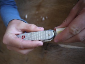 Kinder basteln mit dem Taschenmesser: Wir höhlen den Hollunder aus.  Foto (c) kinderoutdoor.de