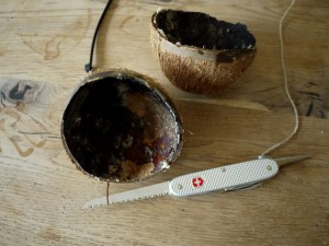Um das Futterhäuschen zu basteln, halbiert Ihr die Kokosnuss. Foto (c) kinderoutdoor.de