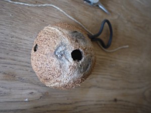 Für unser Futterhäuschen löchern wir nochmals die Kokosnuss. Foto (c) kinderoutdoor.de
