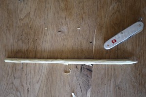 Eine Ende vom Tulpenstiel schnitzt Ihr mit dem Taschenmesser wie einen Bleistift an. Foto (c) kinderoutdoor.de