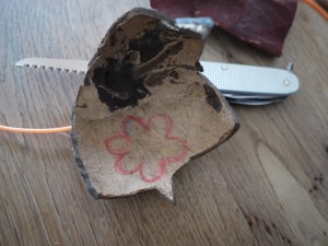 Bevor wir mit dem Taschenmesser loswerken, zeichnen wir den Blumenanhänger auf die Schale der Kokosnuss. Foto (c) kinderoutdoor.de