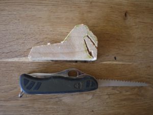 Schnitzanleitung für Kinder: Zuerst mit dem Taschenmesser grob das Walross aussägen.  Foto (c) kinderoutdoor.de