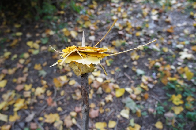 Herbst Schnitzeljagd Kinder