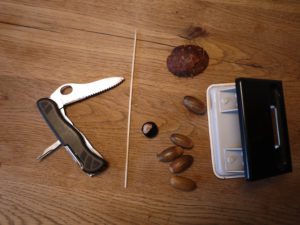 Basteln mit Kastanien und Eicheln: Hier seht Ihr das nötige Material dazu. foto (c) kinderoutdoor.de