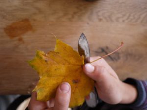 Basteln mit Herbstlaub