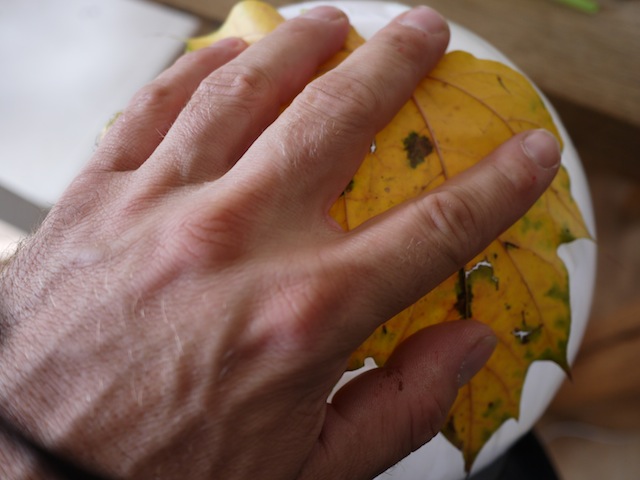 Basteln mit Herbstlaub
