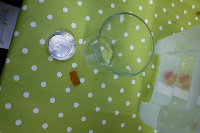 Experiment Für Kinder: Gummibärchen Gehen Auf Tauchstation ...