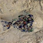 Kinder Landart am Strand: Der Muschelfisch