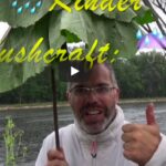 Bushcraft für Kinder: Outdoor Regenschirm basteln