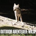 Kinder Outdoor Abenteuer: Wildpark