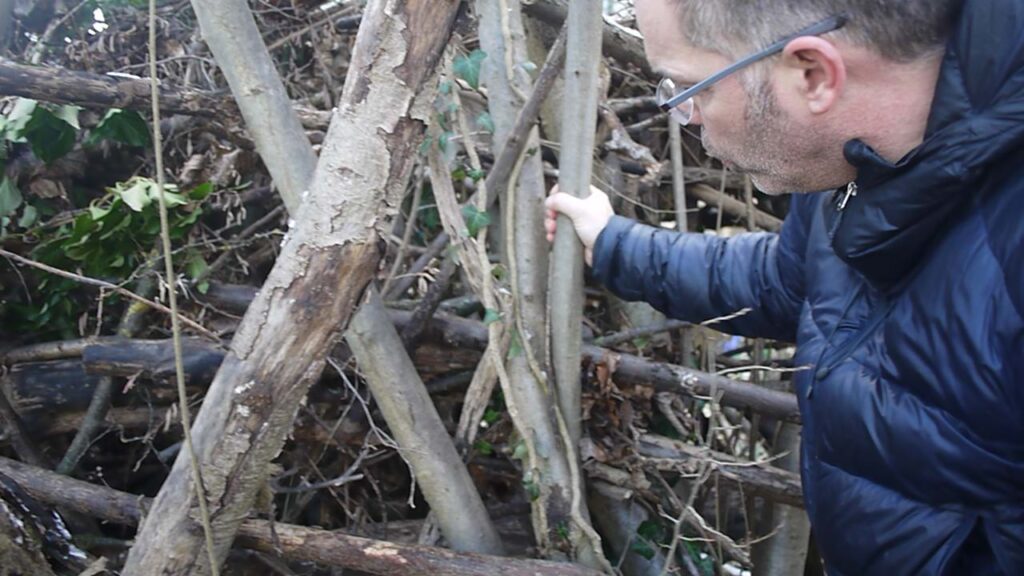 Warum Kinder im Wald mutiger werden – und was sie dort lernen
