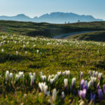 Im Frühling wandern: Das Trentino lockt