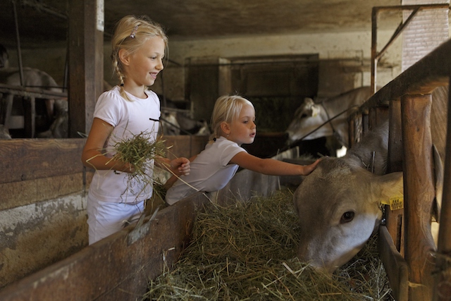 Urlaub auf dem Bauernhof: Familiensommer in Südtirol