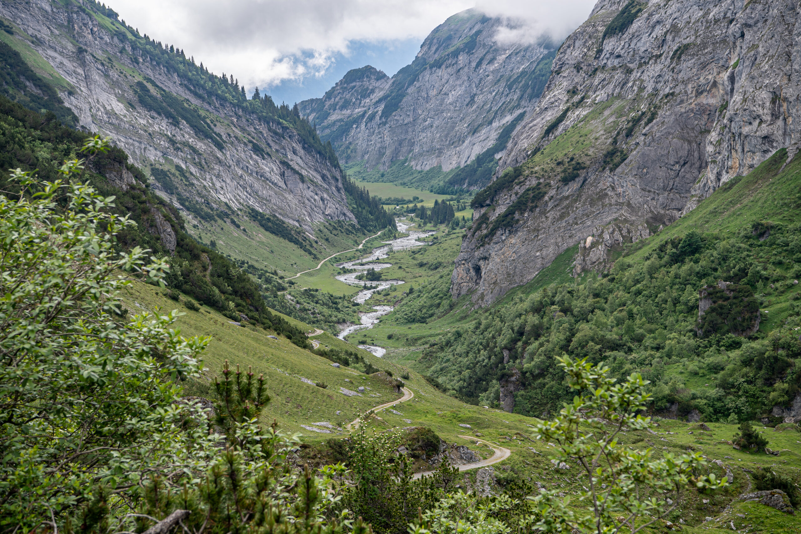 Hidden Gämse: Fünf ultimative Tipps für die Stille der Alpen