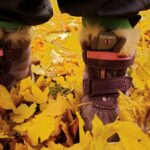 Herbst Schnitzeljagd Kinder