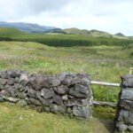 Trekking 1x1