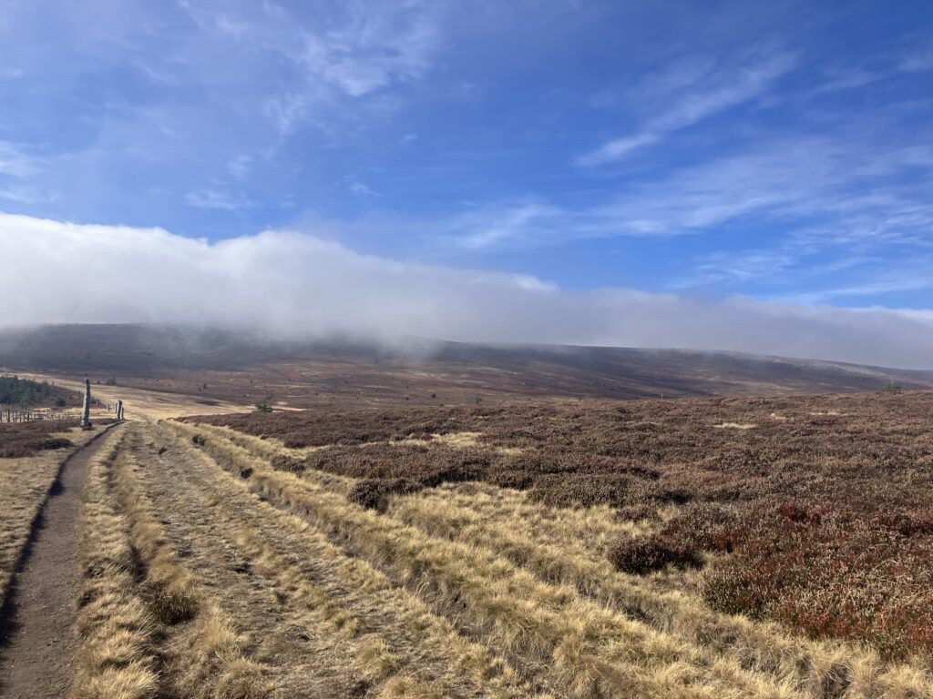 Wanderung in den Cevennen