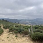Wanderung in den Cevennen