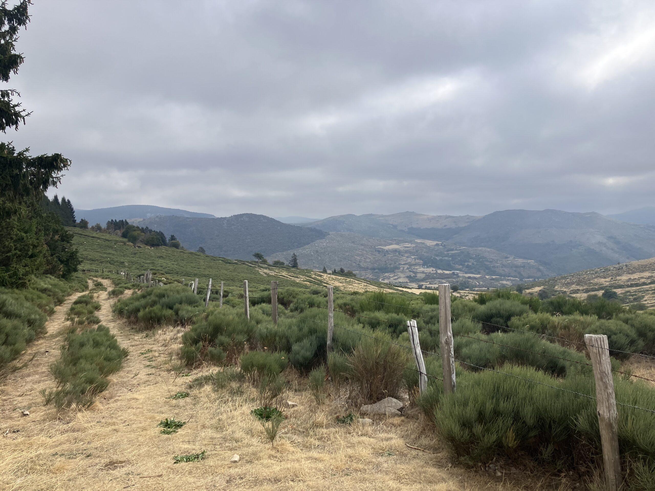 Wanderung in den Cevennen