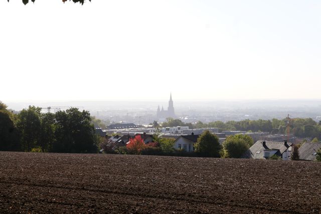Herbstwanderungen mit Kindern