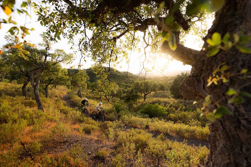SCOTT Strike eMTB