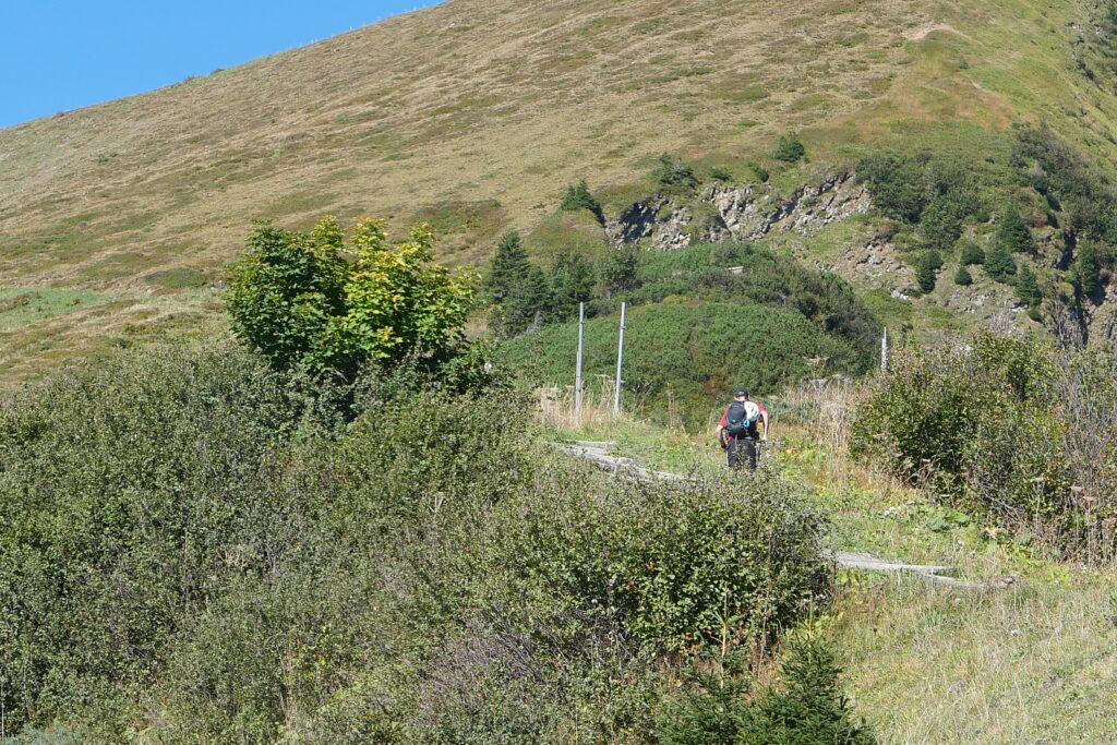 Silva Strive Laufwesten