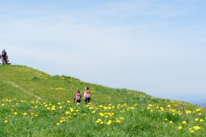 Wandern mit der Kindertrage am Hündle. Der Panoramaweg ist familiengerecht angelegt und bietet tolle Ausblicke.  Foto (c) kinderoutdoor.de